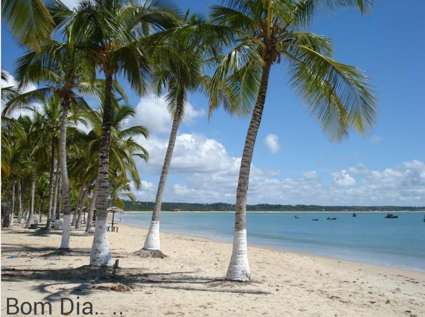 Coroa Vermelha Praia Dos Corais Apt 24 מראה חיצוני תמונה